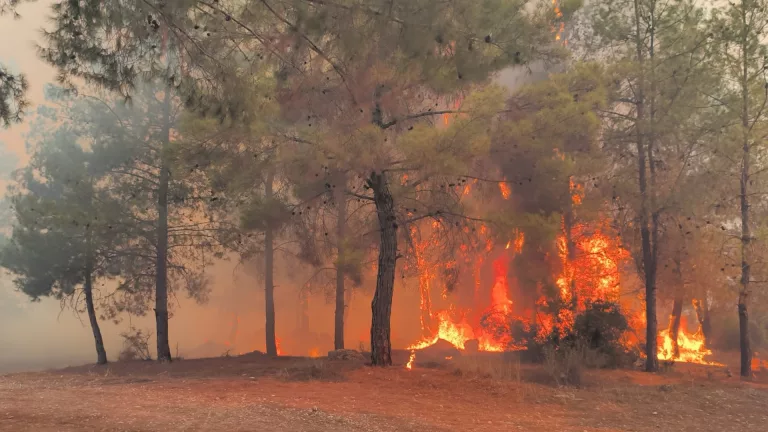 Antalya Alev Alev: Yangınlar Kontrol Altına Alınmaya Çalışılıyor