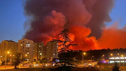 Bursa'da Orman Yangını Felaketi: Otoban Ulaşıma Kapatıldı!