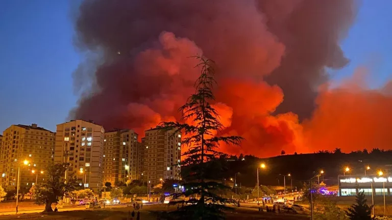 Bursa'da Orman Yangını Felaketi: Otoban Ulaşıma Kapatıldı!