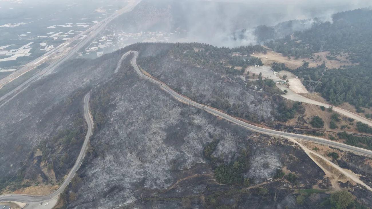 Bursa’daki Orman Yangınında Tahribat Gün Ağarınca Ortaya Çıktı