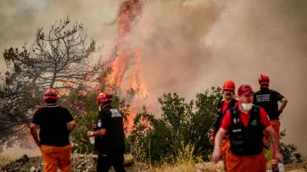 Bursa'daki Orman Yangınıyla İlgili Gelişme: Gözaltına Alınan Şüpheli Suçunu İtiraf Etti!