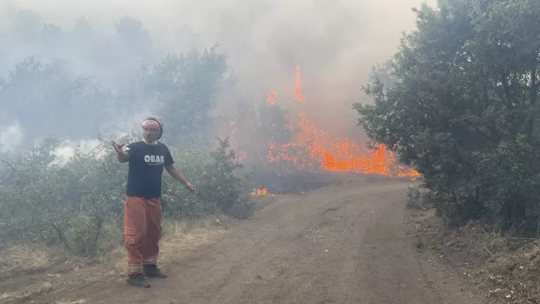 Eskişehir’de Orman Yangını Faciası: 11 Kahraman Şehit