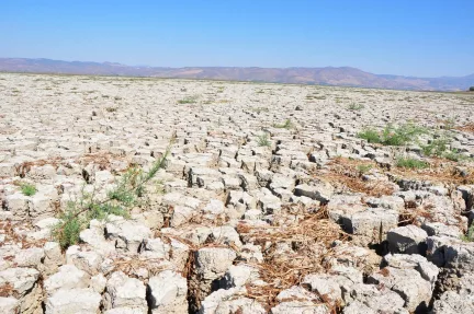 Konya Ovası’nda Kuraklık Alarmı: Kıraç Araziler Verim Vermiyor!
