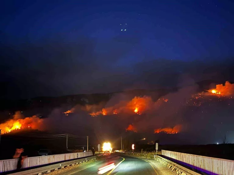 Sakarya’da Orman Yangını Devam Ediyor: D-650 Kara KoluTrafiğe Kapandı