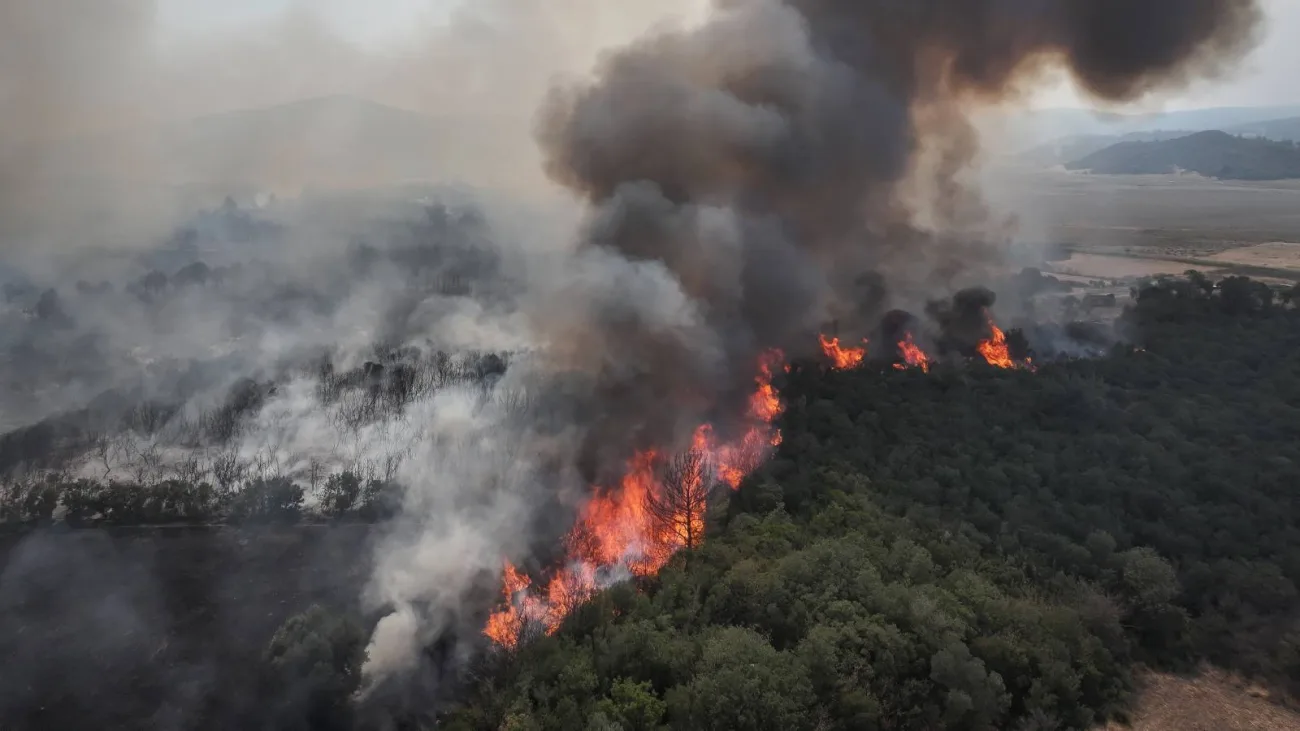 Gelibolu’da Orman Yangını: Ekipler Hızla Müdahaleye Başladı