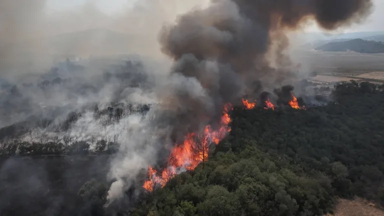 Gelibolu’da Orman Yangını: Ekipler Hızla Müdahaleye Başladı