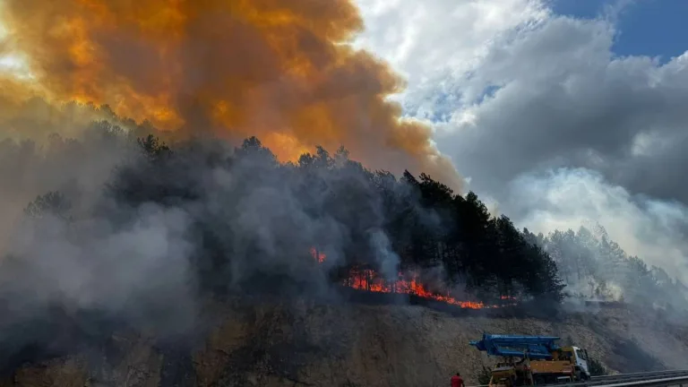Bolu Mengen’de Orman Yangını: Kara Yolu Ulaşıma Kapandı