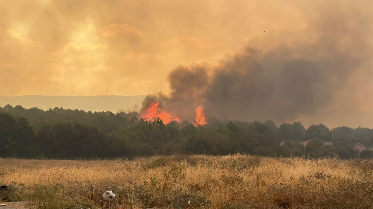 Çanakkale’de Tarım Arazisinde Başlayan Yangın Ormana Sıçradı: Boğaz Trafiğe Kapatıldı