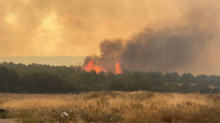 Çanakkale’de Tarım Arazisinde Başlayan Yangın Ormana Sıçradı: Boğaz Trafiğe Kapatıldı