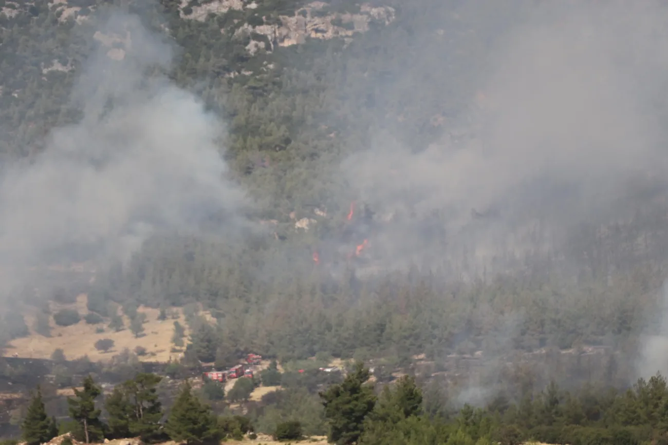 Denizli’de Orman Yangını! Havadan ve Karadan Müdahale Sürüyor