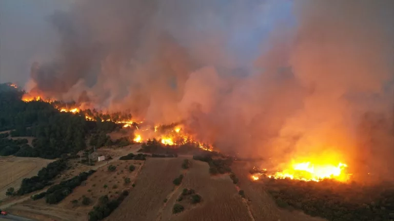 Gelibolu’da Korkutan Orman Yangını: Beş Köy Tahliye Edildi