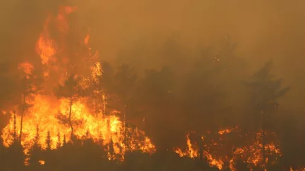 Hatay Yayladağı’nda Çıkan Orman Yangınına Yoğun Müdahale