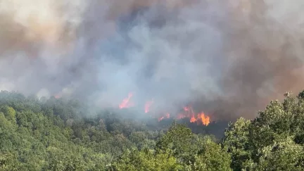 Kocaeli Karamürsel’deki Orman Yangını Havadan ve Karadan Müdahaleyle Kontrol Altına Alındı
