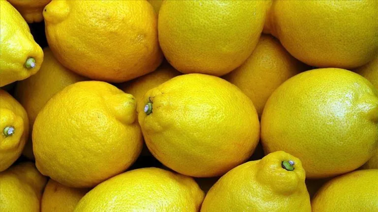 Limon Fiyatları El Yakıyor: Adedi 24 Lira Oldu