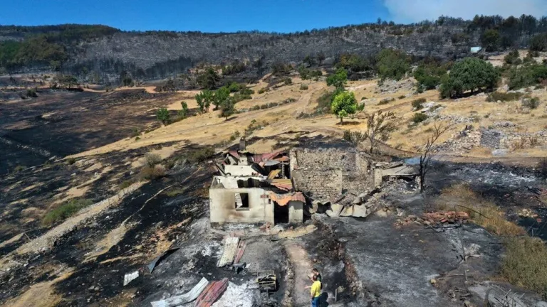 Karabük ve Kastamonu’da Orman Yangınlarıyla Zorlu Mücadele
