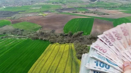 Tapusu Sizde Olsa Bile Araziler Kiraya Verilecek! Yeni Düzenleme Resmen Başladı