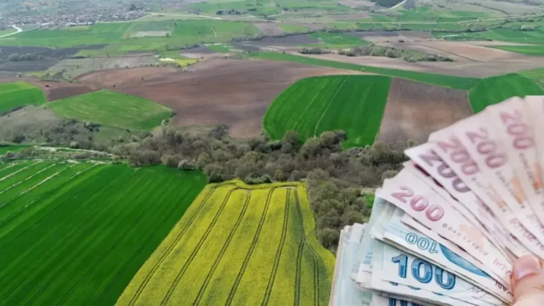 Tapusu Sizde Olsa Bile Araziler Kiraya Verilecek! Yeni Düzenleme Resmen Başladı